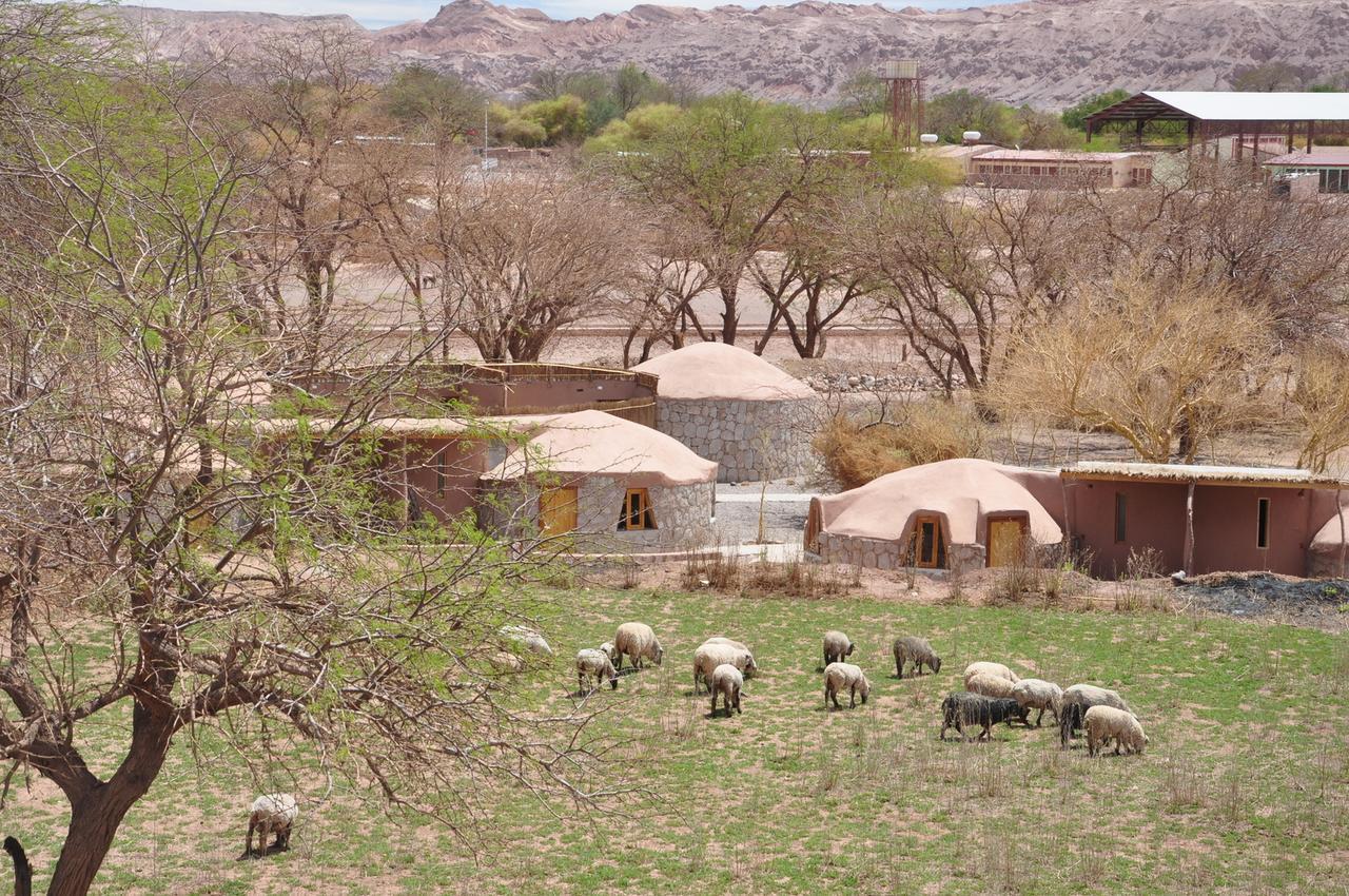 سان بيدرو دي أتاكاما Ckamur Atacama Ethno Lodge & Spa المظهر الخارجي الصورة